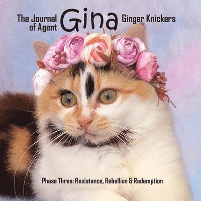 Journal of Agent Gina Ginger Knickers Phase Three 1