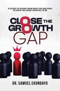 bokomslag Close the Gap