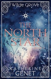 bokomslag The North Star