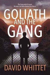 bokomslag Goliath and the Gang