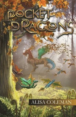 bokomslag Pocket Dragons