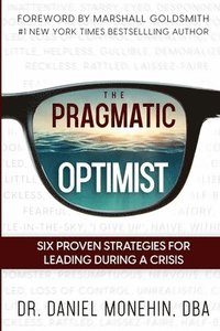 bokomslag The Pragmatic Optimist