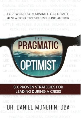 The Pragmatic Optimist 1