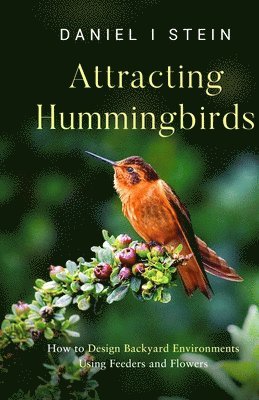 bokomslag Attracting Hummingbirds