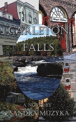 Carleton Falls 1