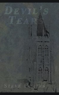 bokomslag Devil's Tears