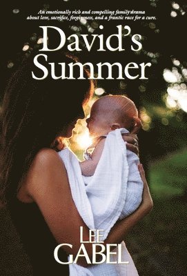 bokomslag David's Summer