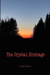 bokomslag Crystal Birdcage