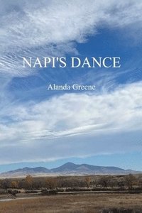 bokomslag Napi's Dance