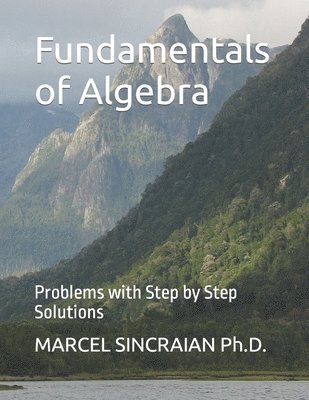 bokomslag Fundamentals of Algebra