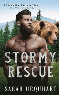bokomslag Stormy Rescue