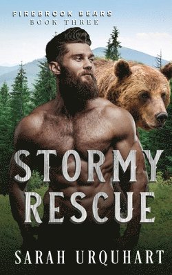 Stormy Rescue 1