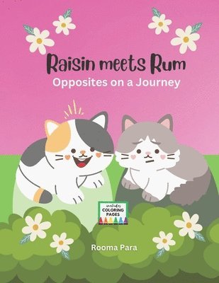 bokomslag Raisin meets Rum