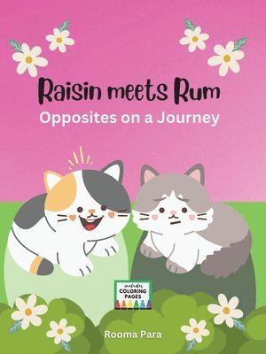 bokomslag Raisin meets Rum