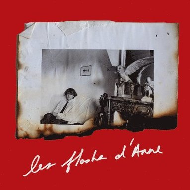 bokomslag Anne Day: Les Flashes d'Anne