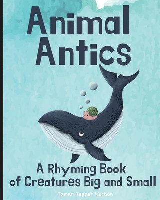 Animal Antics 1