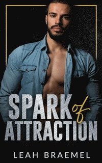 bokomslag Spark of Attraction