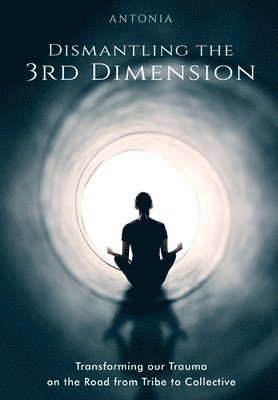 Dismantling the 3rd Dimension 1