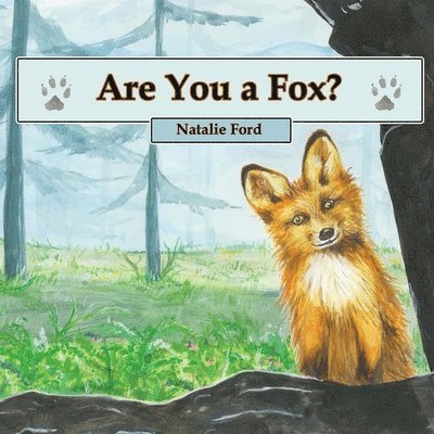 Are You a Fox? 1