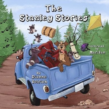 bokomslag The Stanley Stories