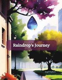 bokomslag Raindrop's Journey