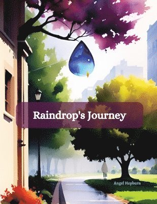 Raindrop's Journey 1