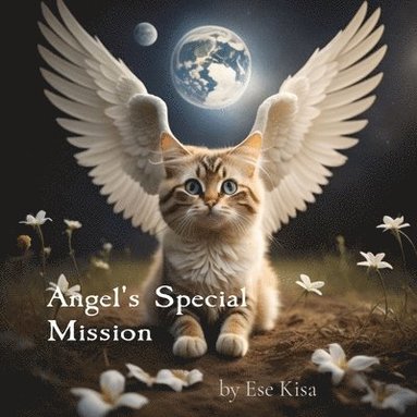 bokomslag Angel's Special Mission