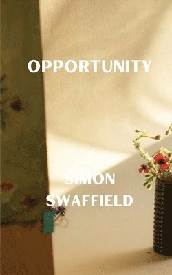 Opportunity 1