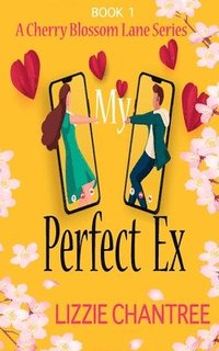 bokomslag My Perfect Ex