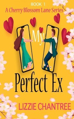 My Perfect Ex 1