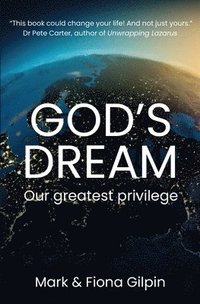 bokomslag God's Dream