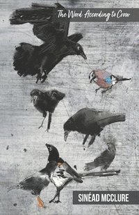 bokomslag The Word According to Crow