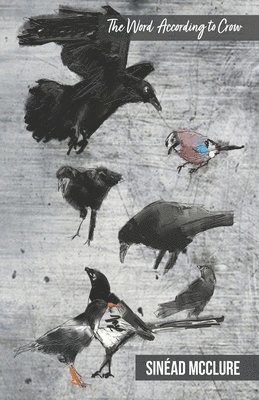 bokomslag The Word According to Crow