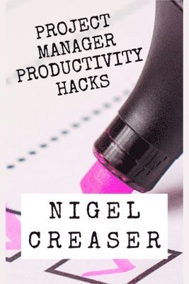 bokomslag Project Manager Productivity Hacks
