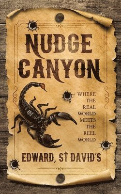 bokomslag Nudge Canyon