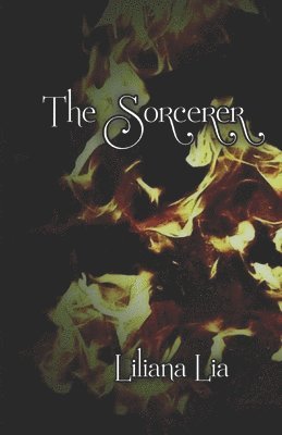 bokomslag The Sorcerer