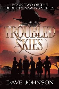 bokomslag Troubled Skies