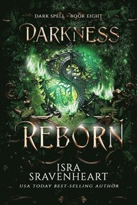 bokomslag Darkness Reborn