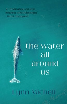 Lynn Michell - water all around us, Häftad