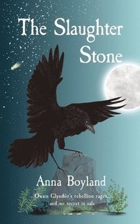bokomslag Slaughter Stone