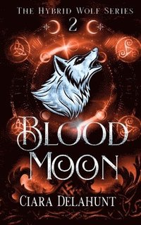bokomslag Blood Moon