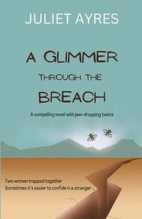 bokomslag Glimmer Through the Breach