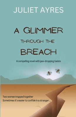 bokomslag Glimmer Through the Breach