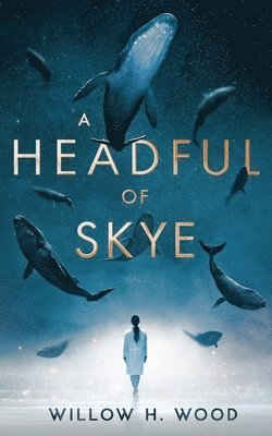 bokomslag Headful of Skye