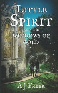 bokomslag Little Spirit and the Windows of Gold