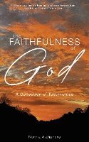 bokomslag The Faithfulness of God