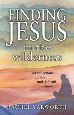 bokomslag Finding Jesus in the Wilderness