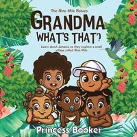 bokomslag Grandma What's That? Nine Mile Jamaica