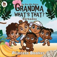 bokomslag Grandma What's That? Barbados