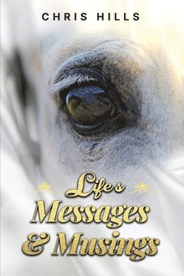 Life's Messages and Musings 1